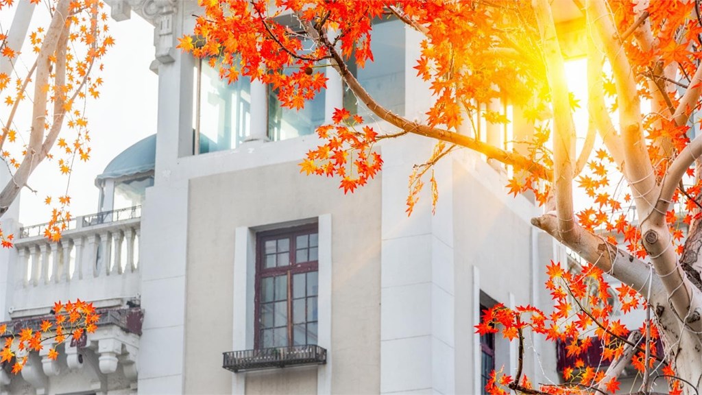 ¿Cómo preparar una fachada para el otoño?