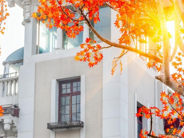 ¿Cómo preparar una fachada para el otoño?