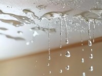 Goteras y filtraciones: causas y soluciones en cubiertas