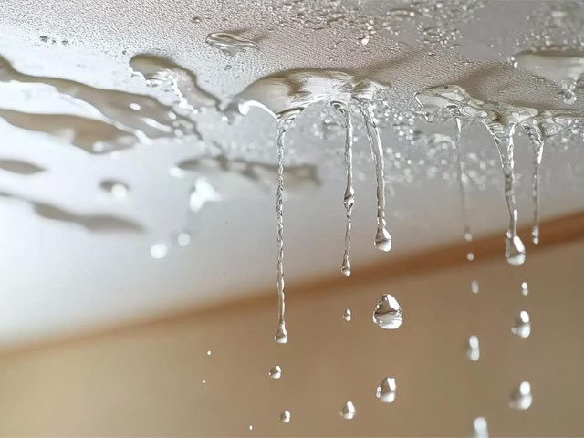 Goteras y filtraciones: causas y soluciones en cubiertas